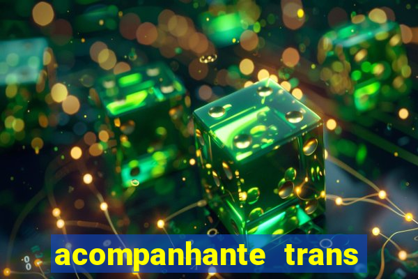 acompanhante trans baixada fluminense